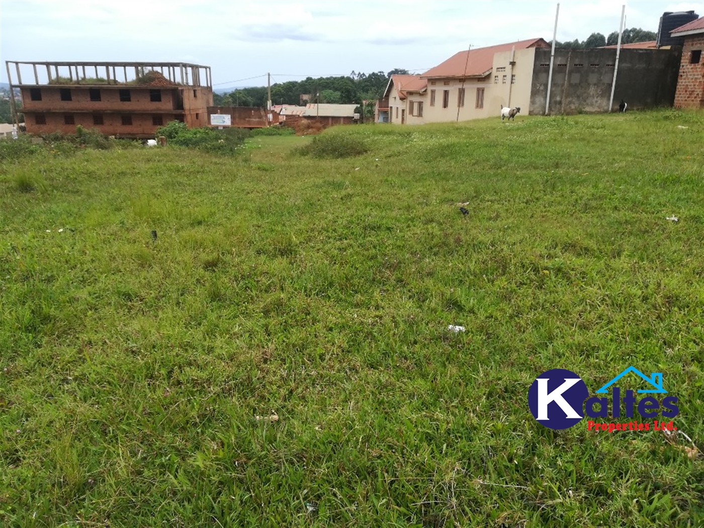 Residential Land for sale in Kabembe Mukono