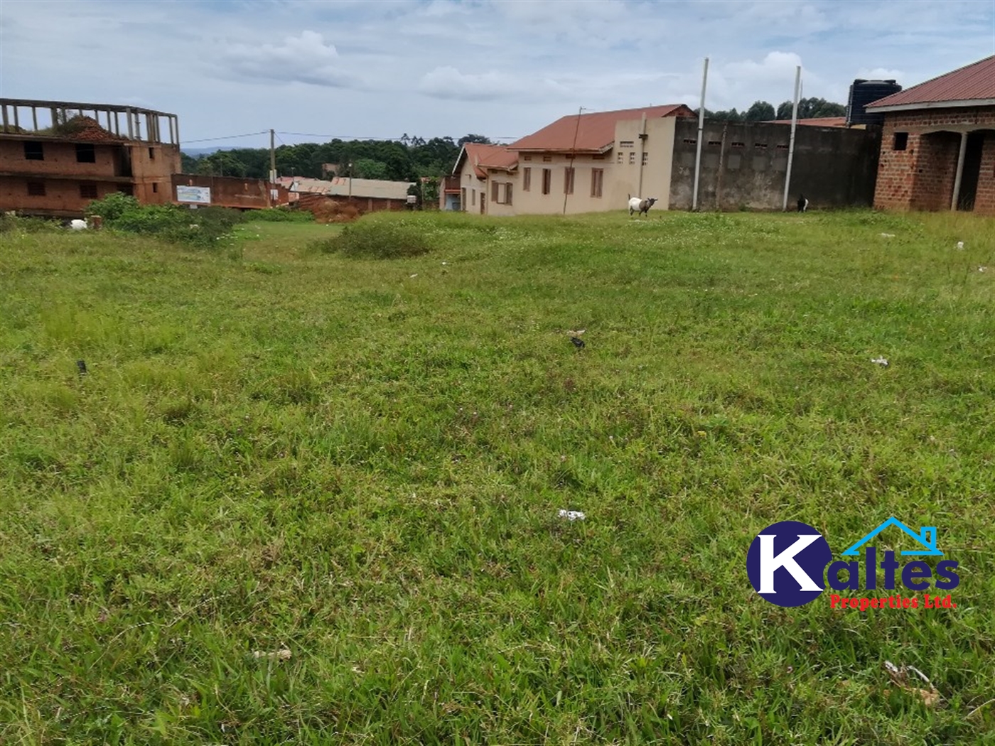 Residential Land for sale in Kabembe Mukono