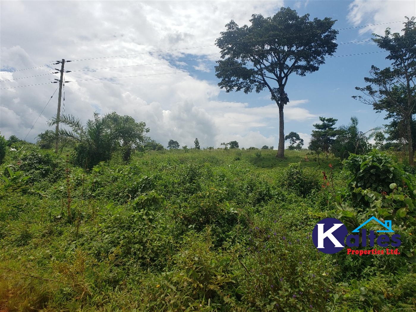 Agricultural Land for sale in Kabugoga Buyikwe