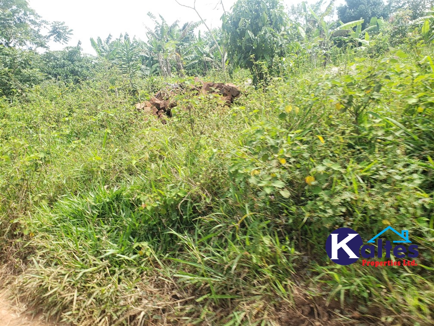 Agricultural Land for sale in Kasokoso Buyikwe