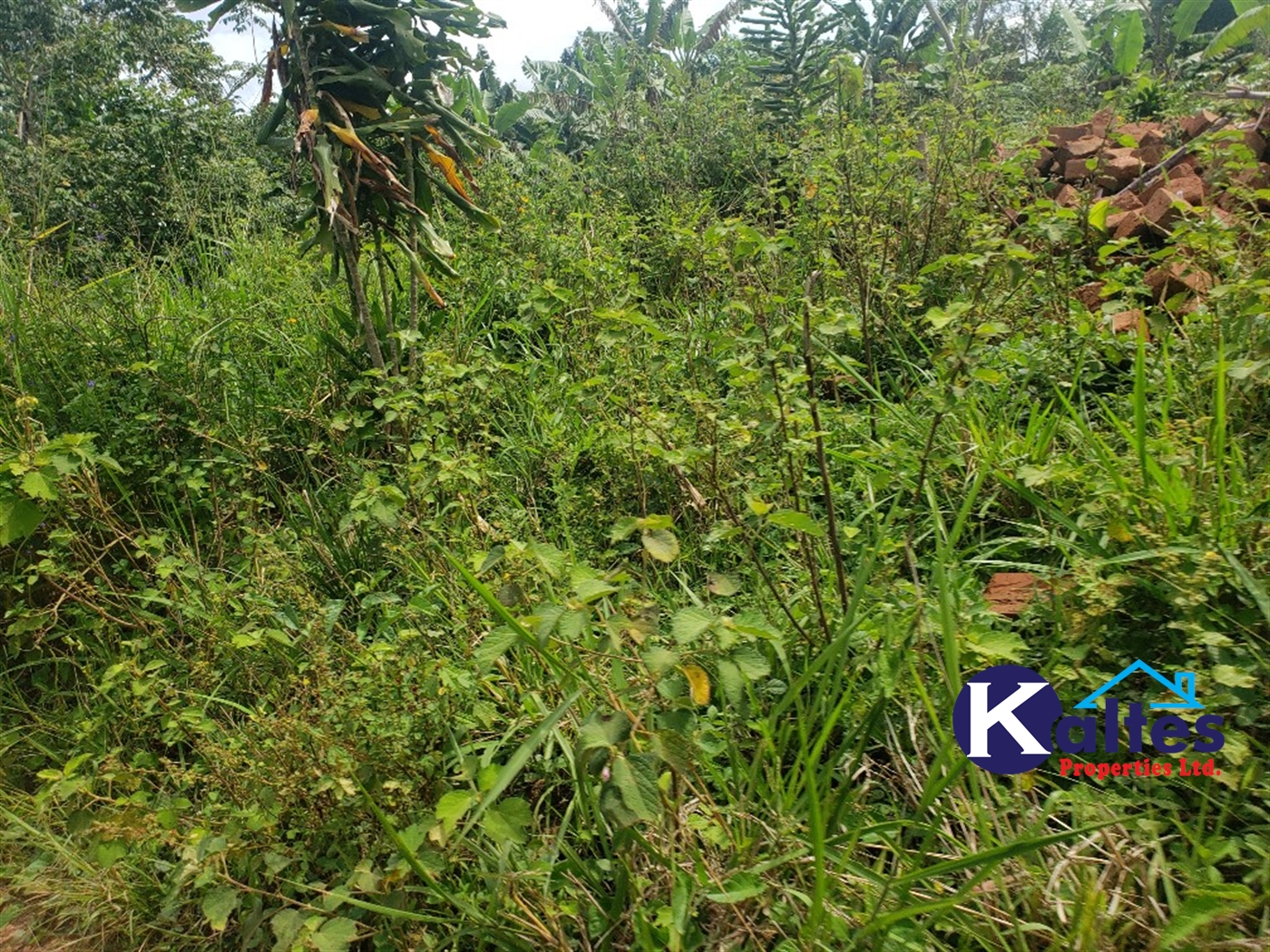 Agricultural Land for sale in Kasokoso Buyikwe