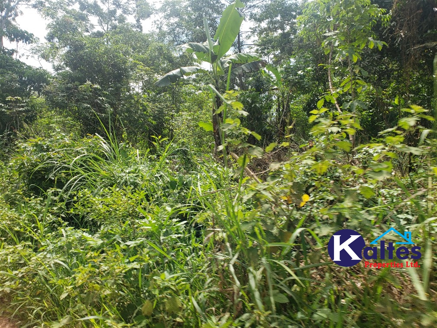 Agricultural Land for sale in Kasubi Buyikwe