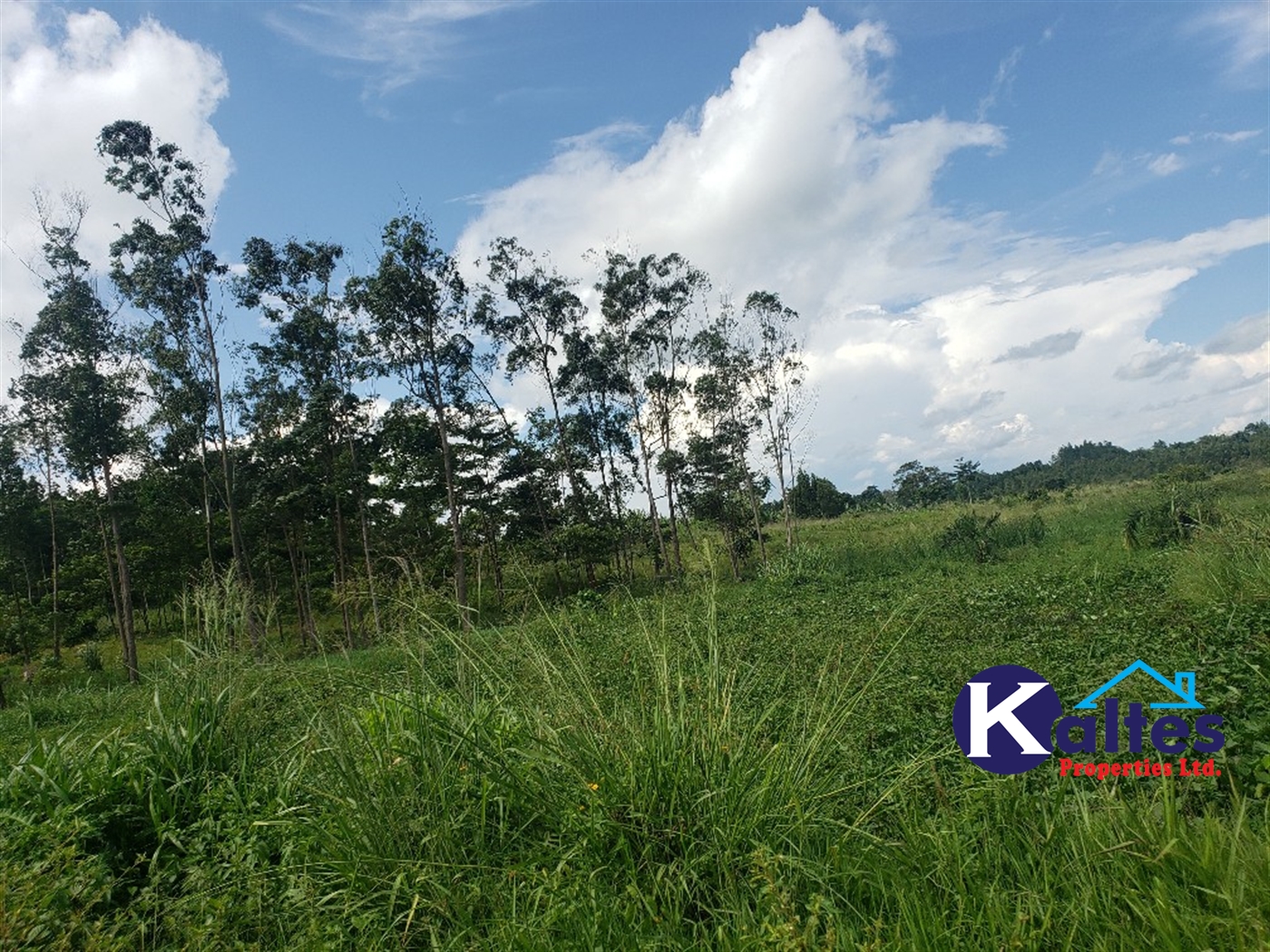 Agricultural Land for sale in Kasubi Buyikwe