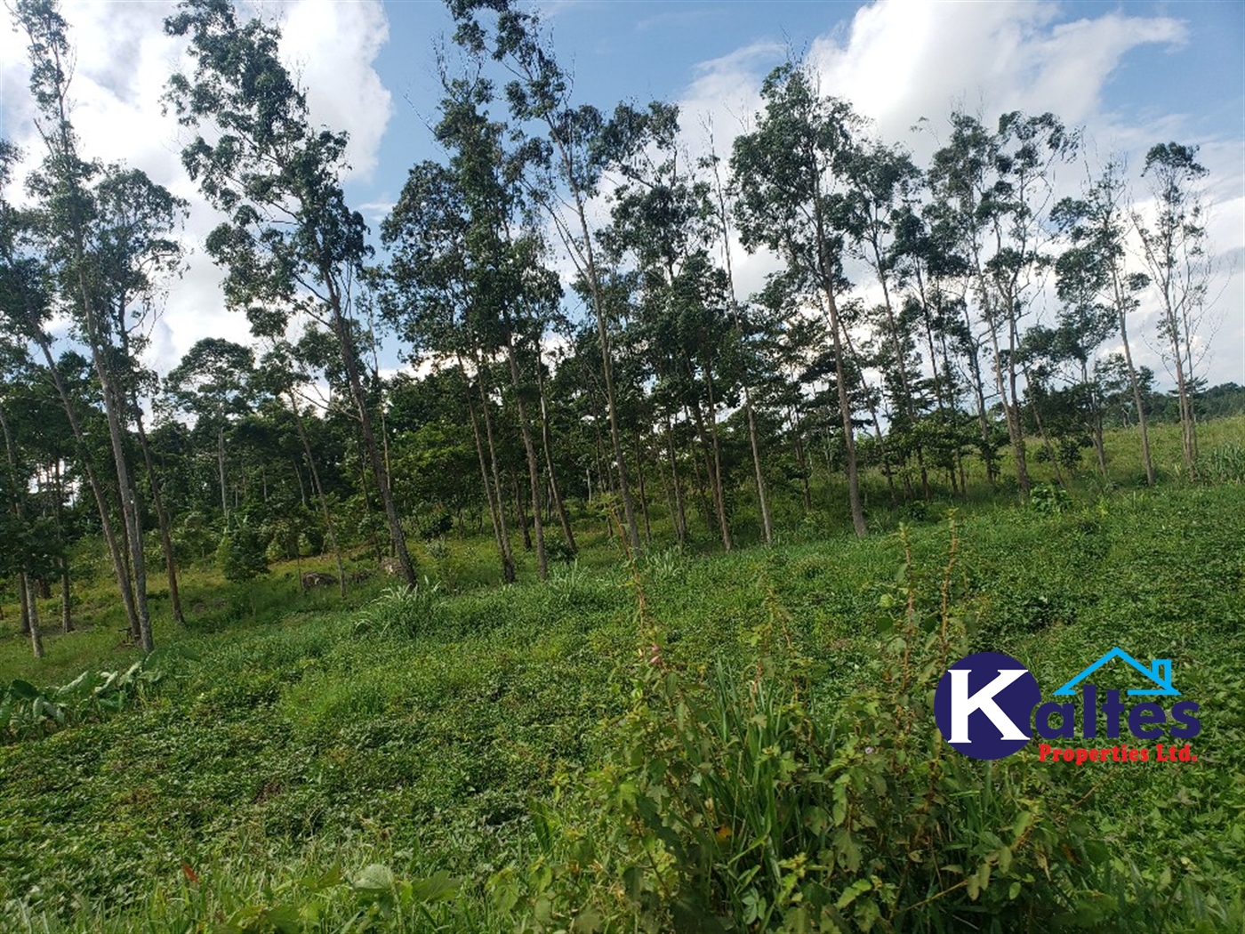 Agricultural Land for sale in Kasubi Buyikwe