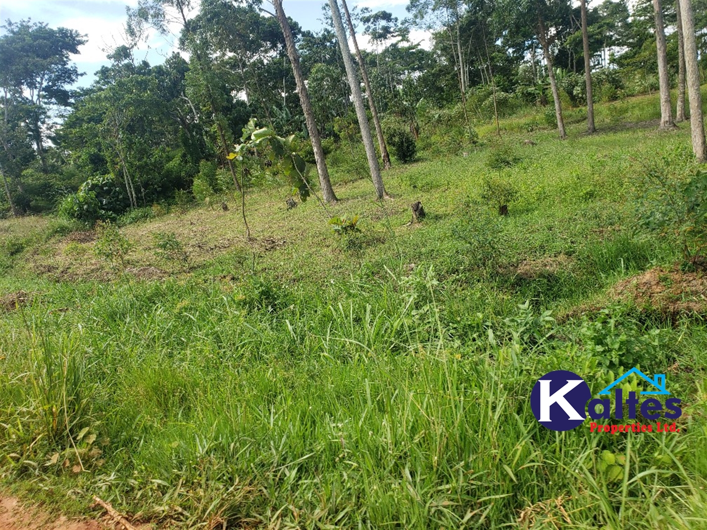 Agricultural Land for sale in Kasubi Buyikwe