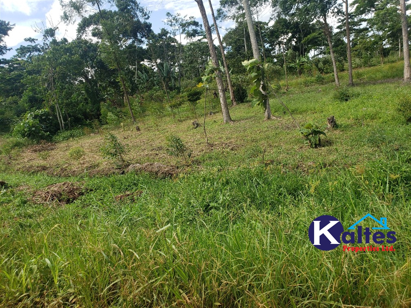 Agricultural Land for sale in Kasubi Buyikwe