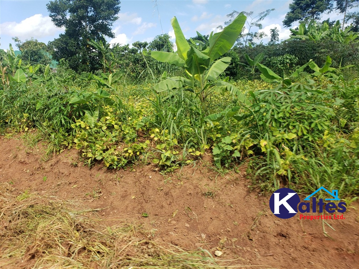 Agricultural Land for sale in Kigenda Buyikwe