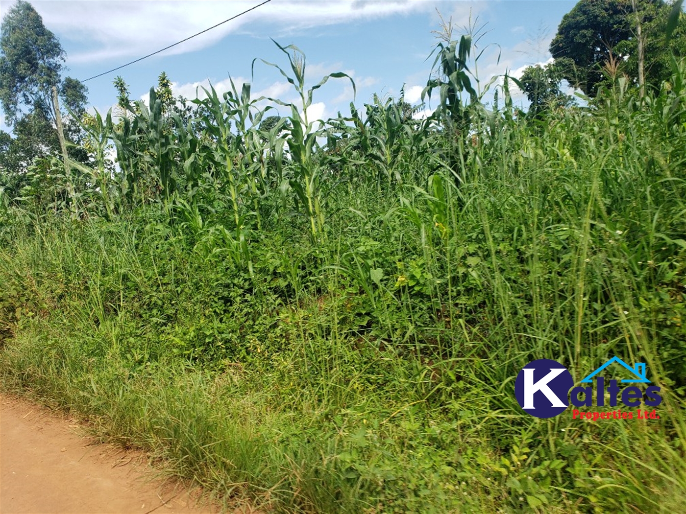 Agricultural Land for sale in Kigenda Buyikwe