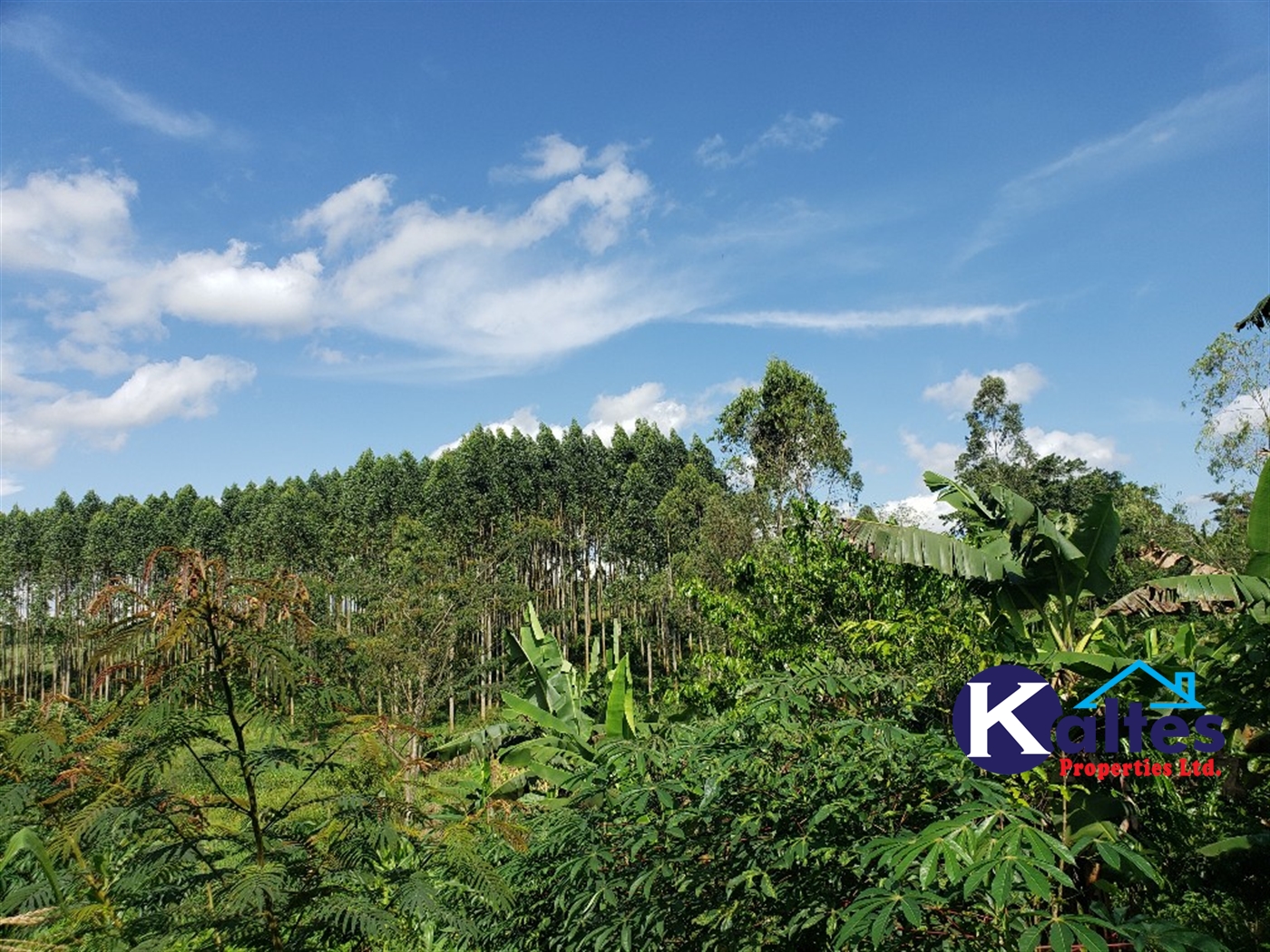 Agricultural Land for sale in Kikaja Buyikwe