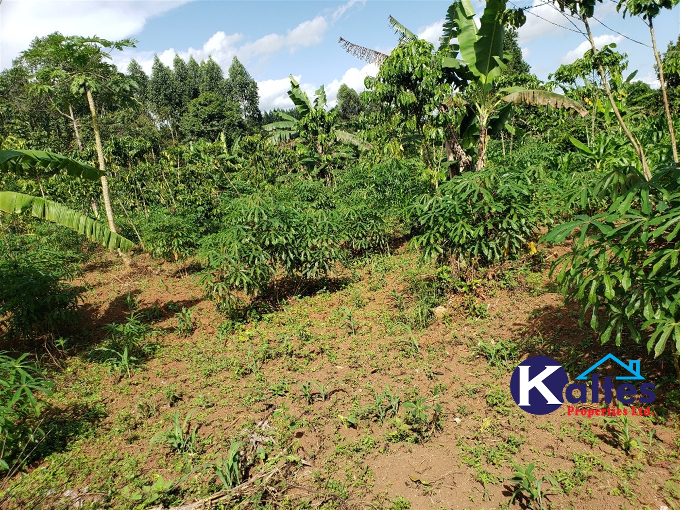 Agricultural Land for sale in Kikaja Buyikwe