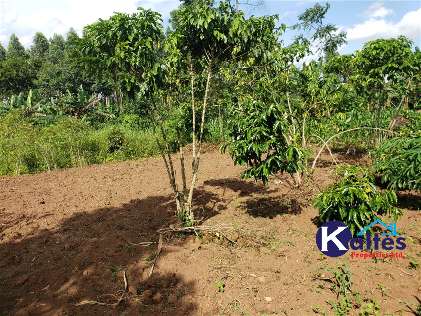 Agricultural Land for sale in Kikaja Buyikwe