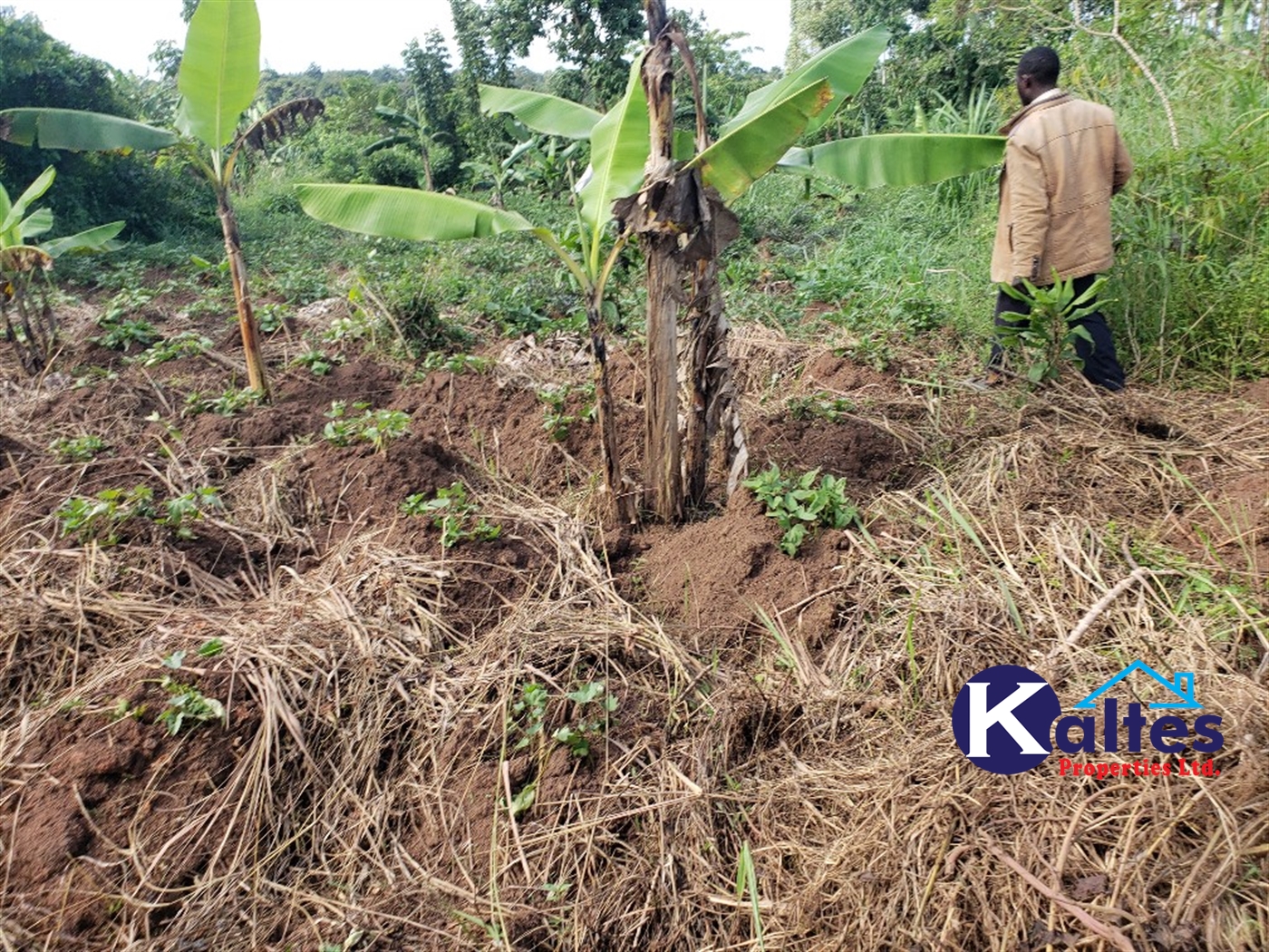 Agricultural Land for sale in Kikakanya Buyikwe