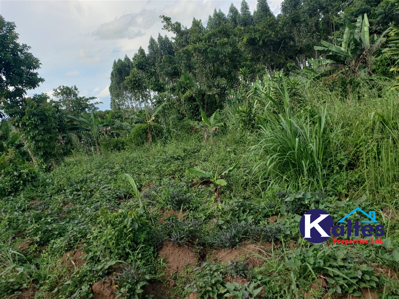 Agricultural Land for sale in Kikakanya Buyikwe