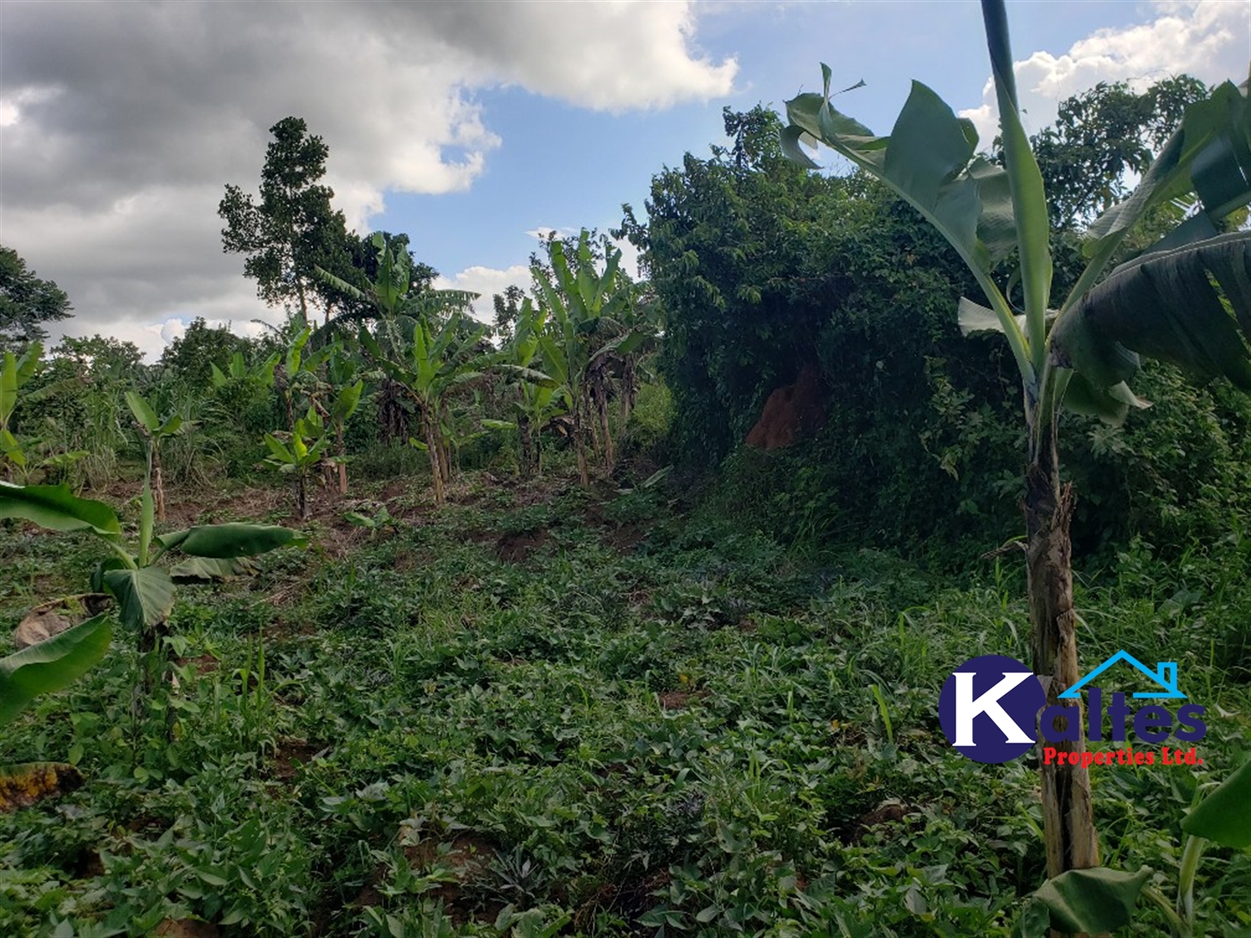 Agricultural Land for sale in Kikakanya Buyikwe