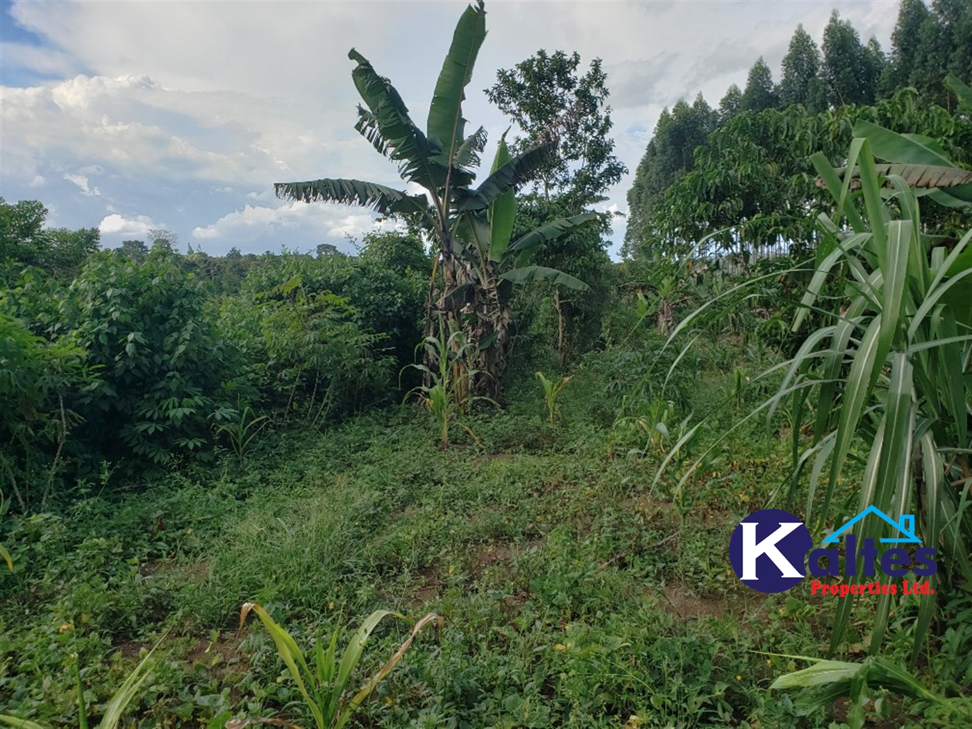 Agricultural Land for sale in Kikakanya Buyikwe