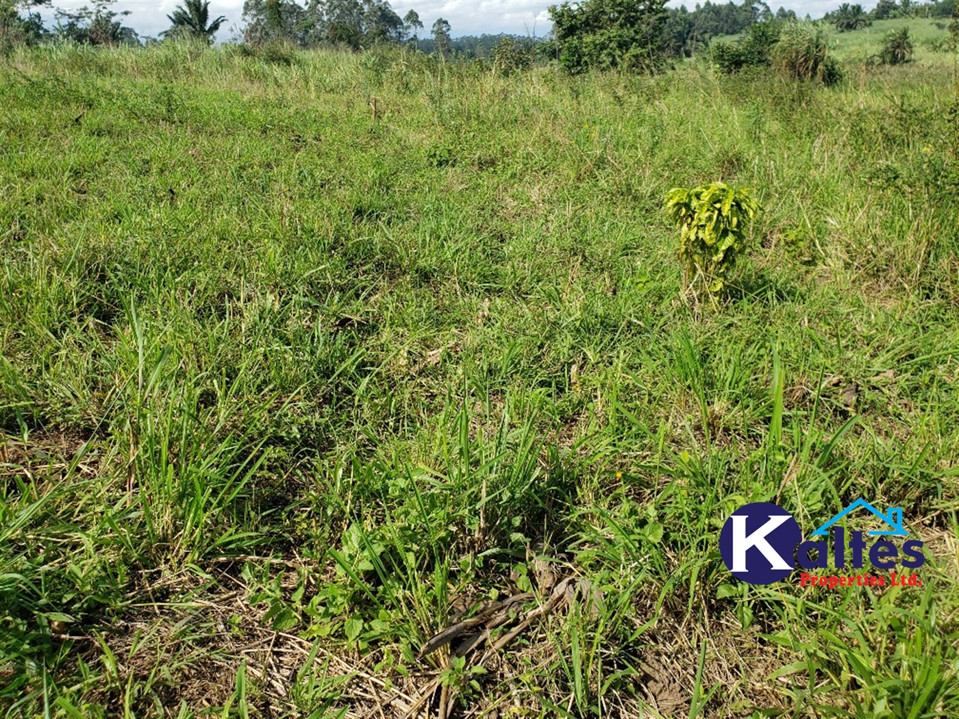Agricultural Land for sale in Kimera Buyikwe