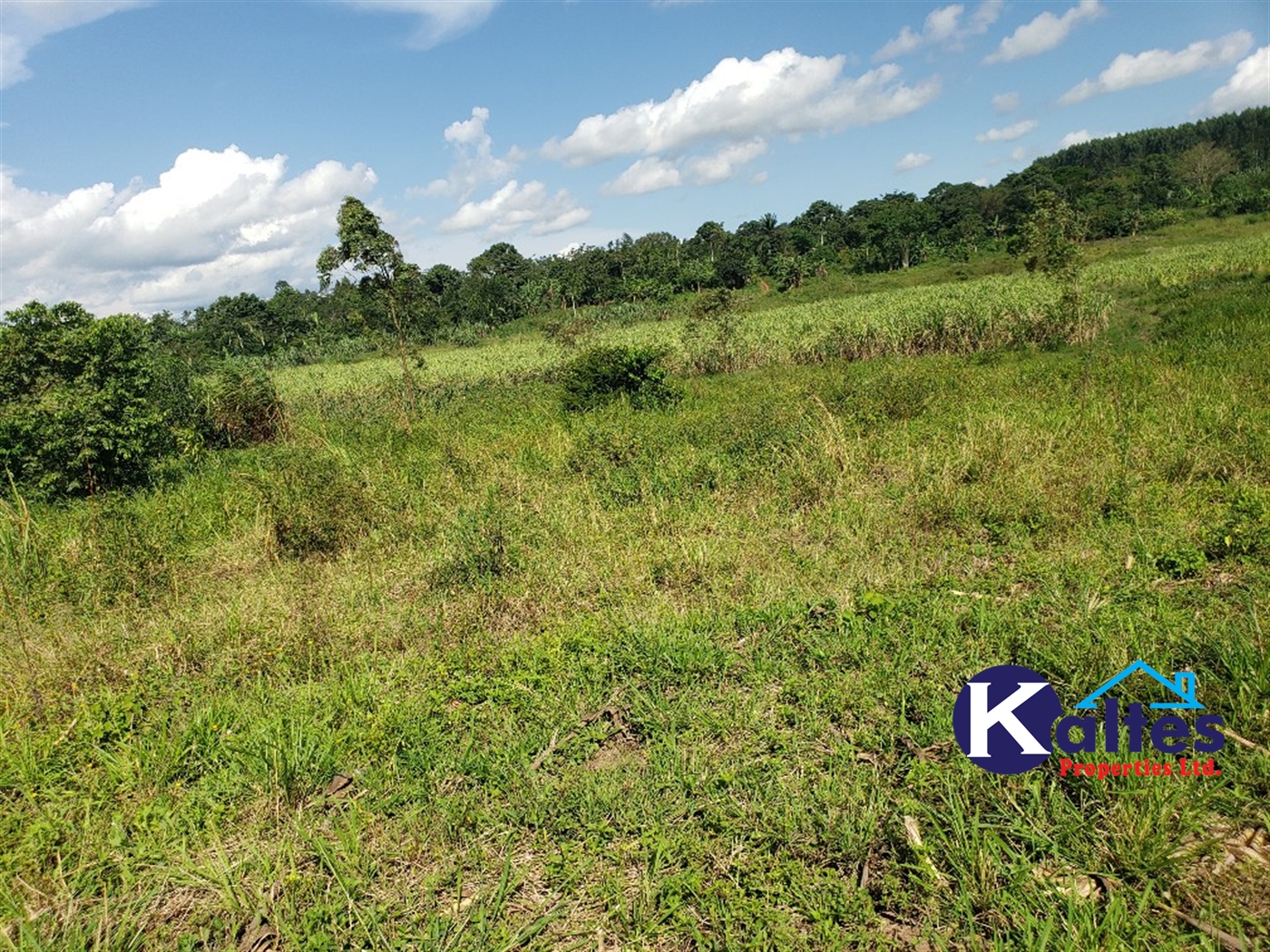 Agricultural Land for sale in Kinoni Buyikwe