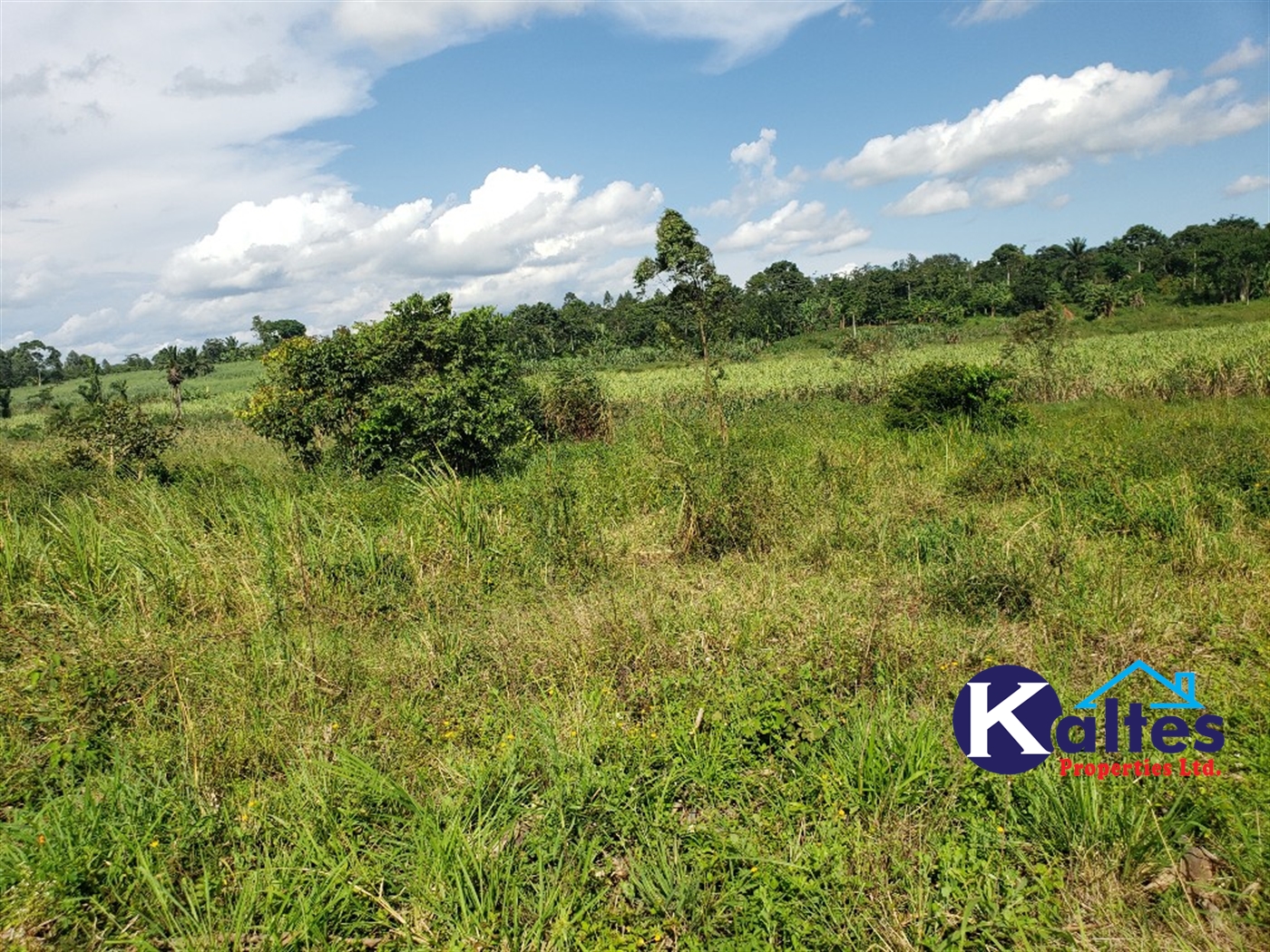 Agricultural Land for sale in Kinoni Buyikwe