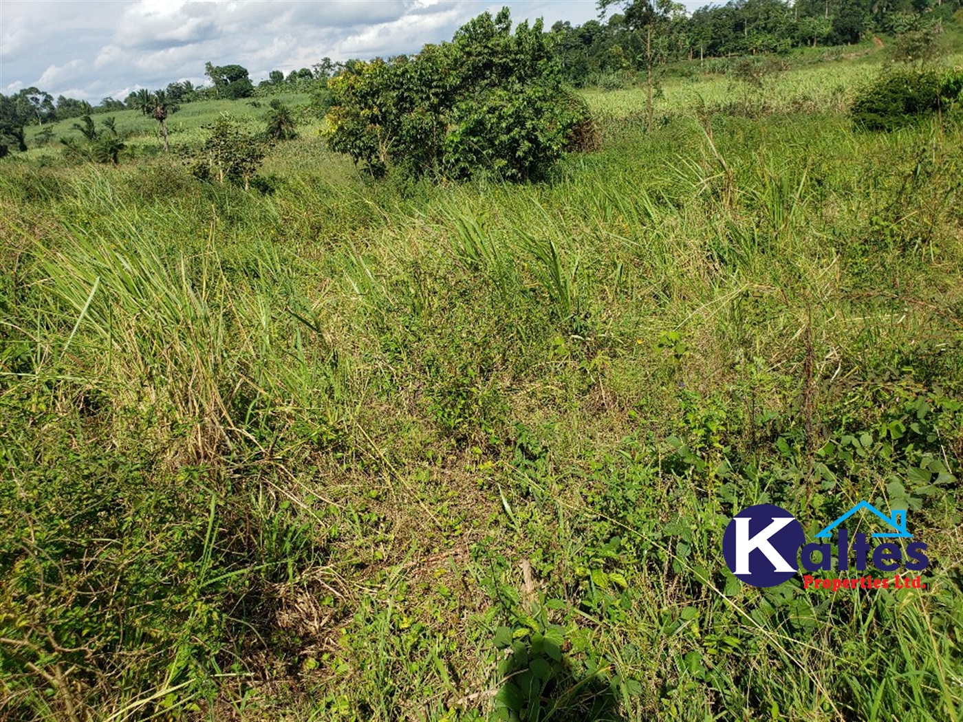 Agricultural Land for sale in Kinoni Buyikwe