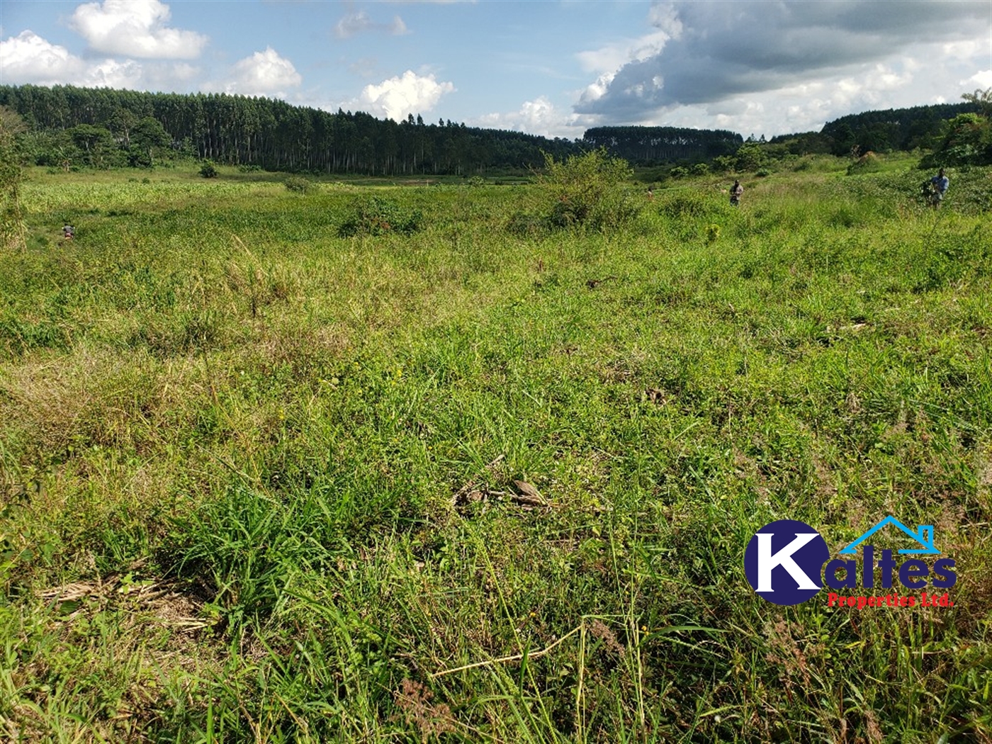 Agricultural Land for sale in Kinoni Buyikwe