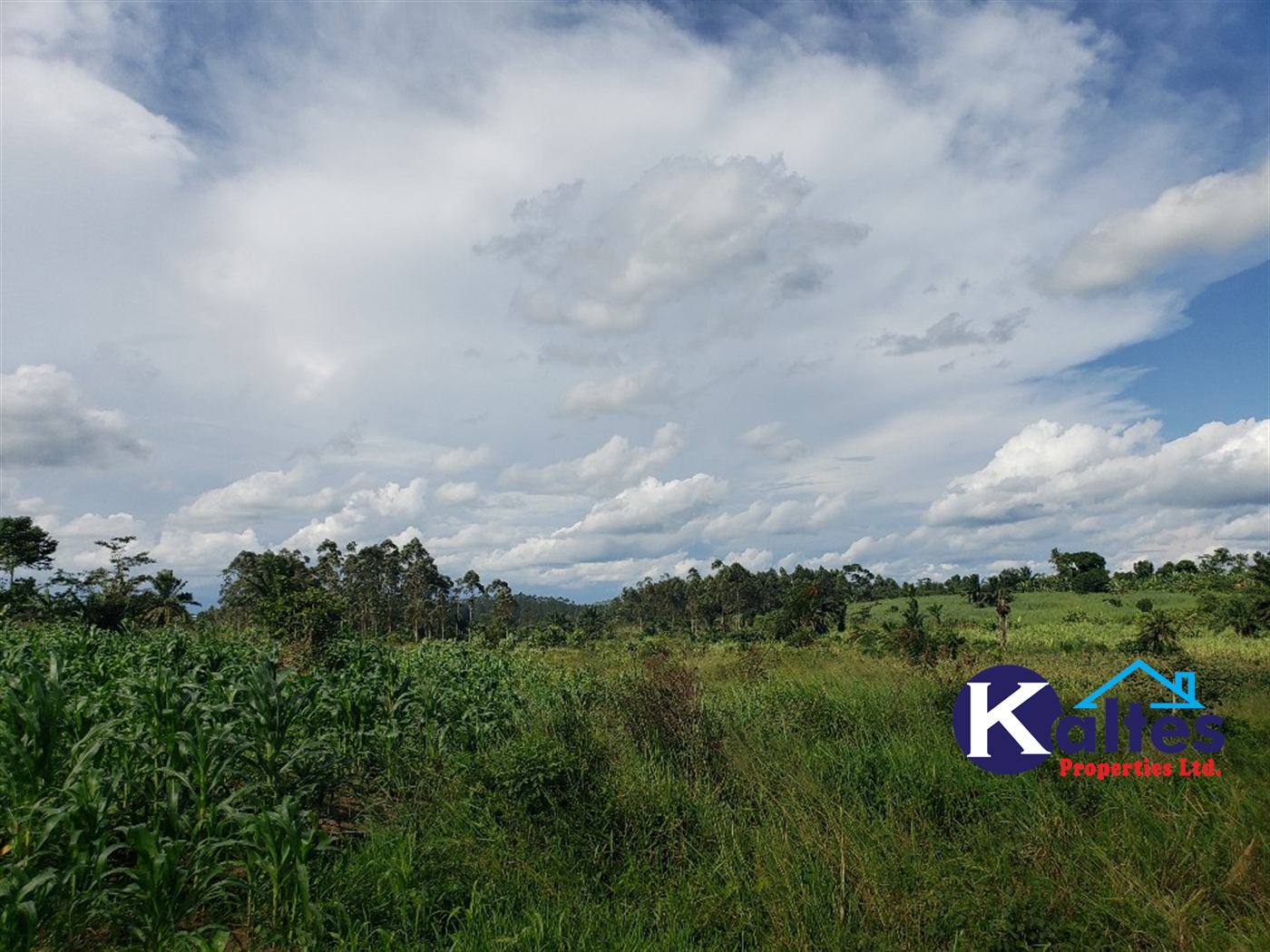 Agricultural Land for sale in Kinoni Buyikwe