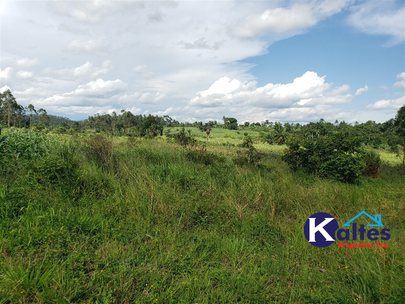 Agricultural Land for sale in Kinoni Buyikwe