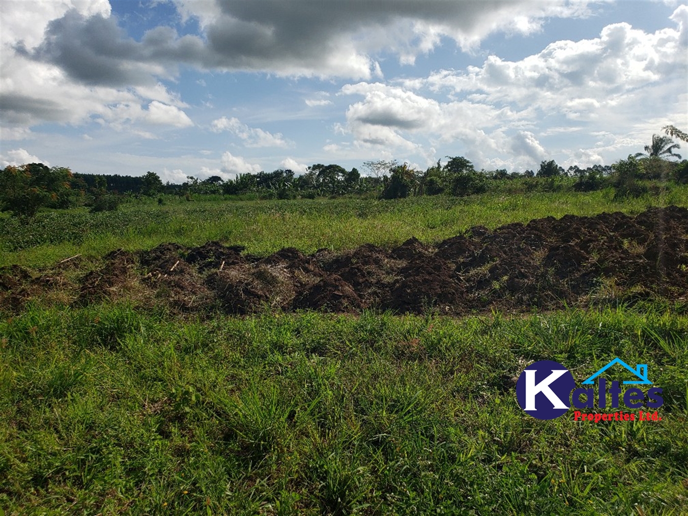 Agricultural Land for sale in Kinoni Buyikwe