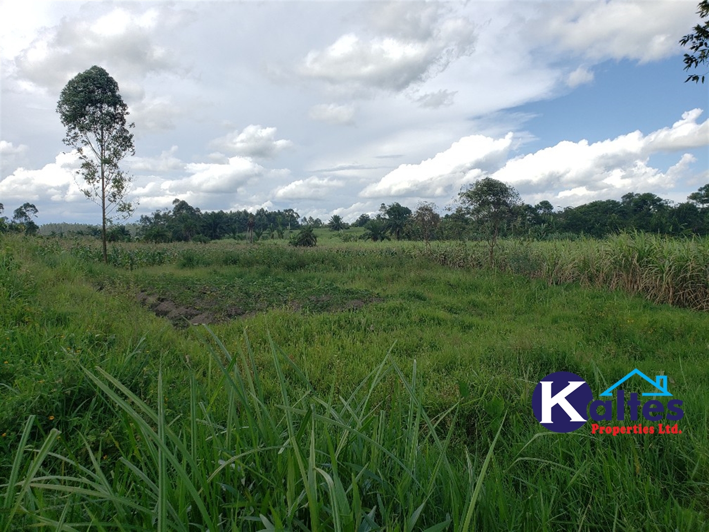 Agricultural Land for sale in Kinoni Buyikwe