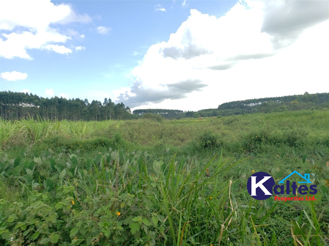 Agricultural Land for sale in Kinoni Buyikwe