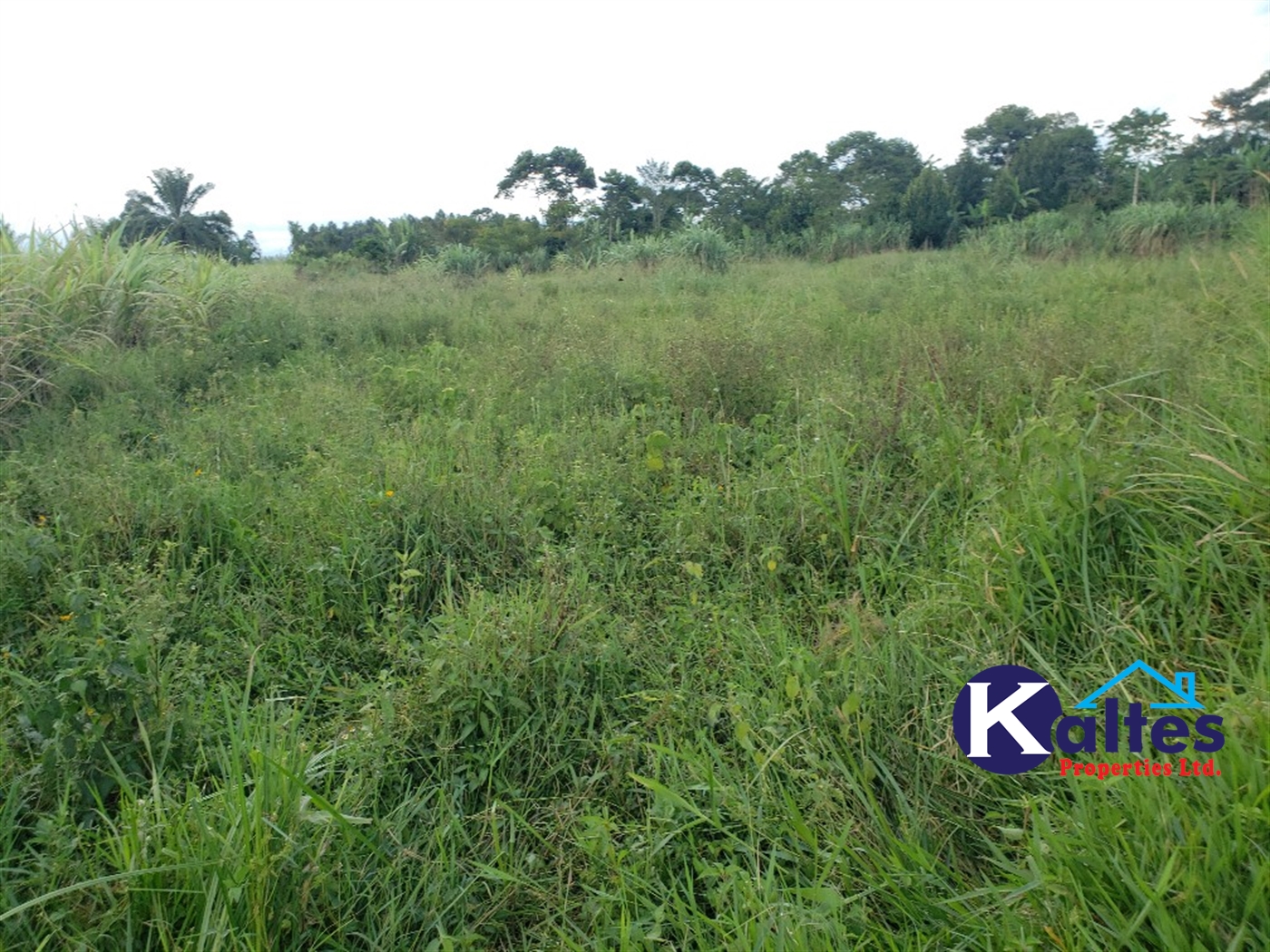 Agricultural Land for sale in Kinoni Buyikwe