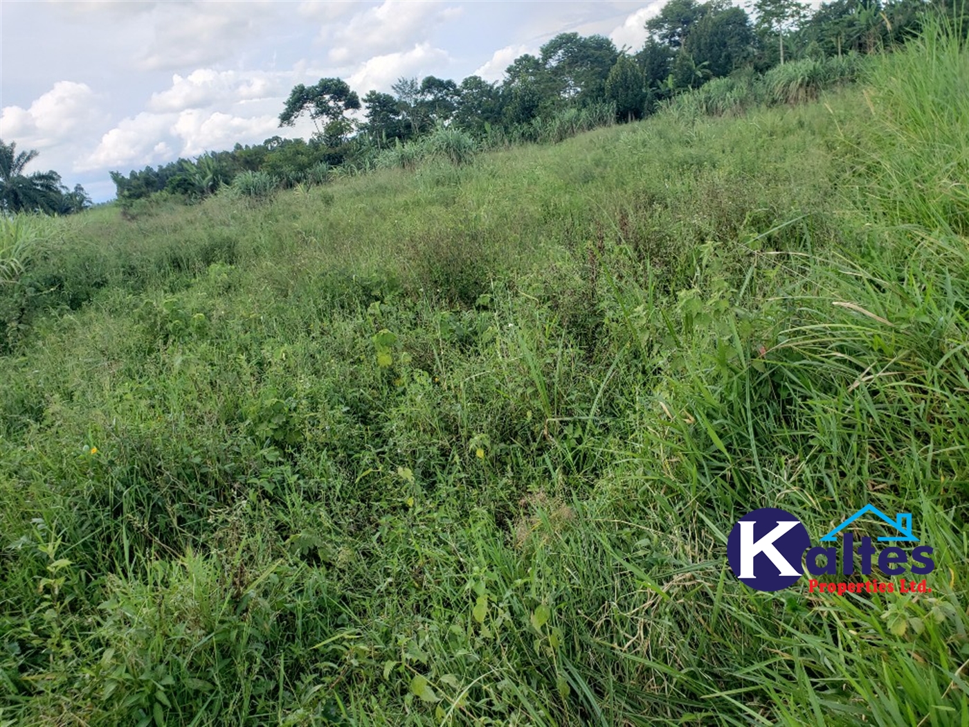 Agricultural Land for sale in Kinoni Buyikwe