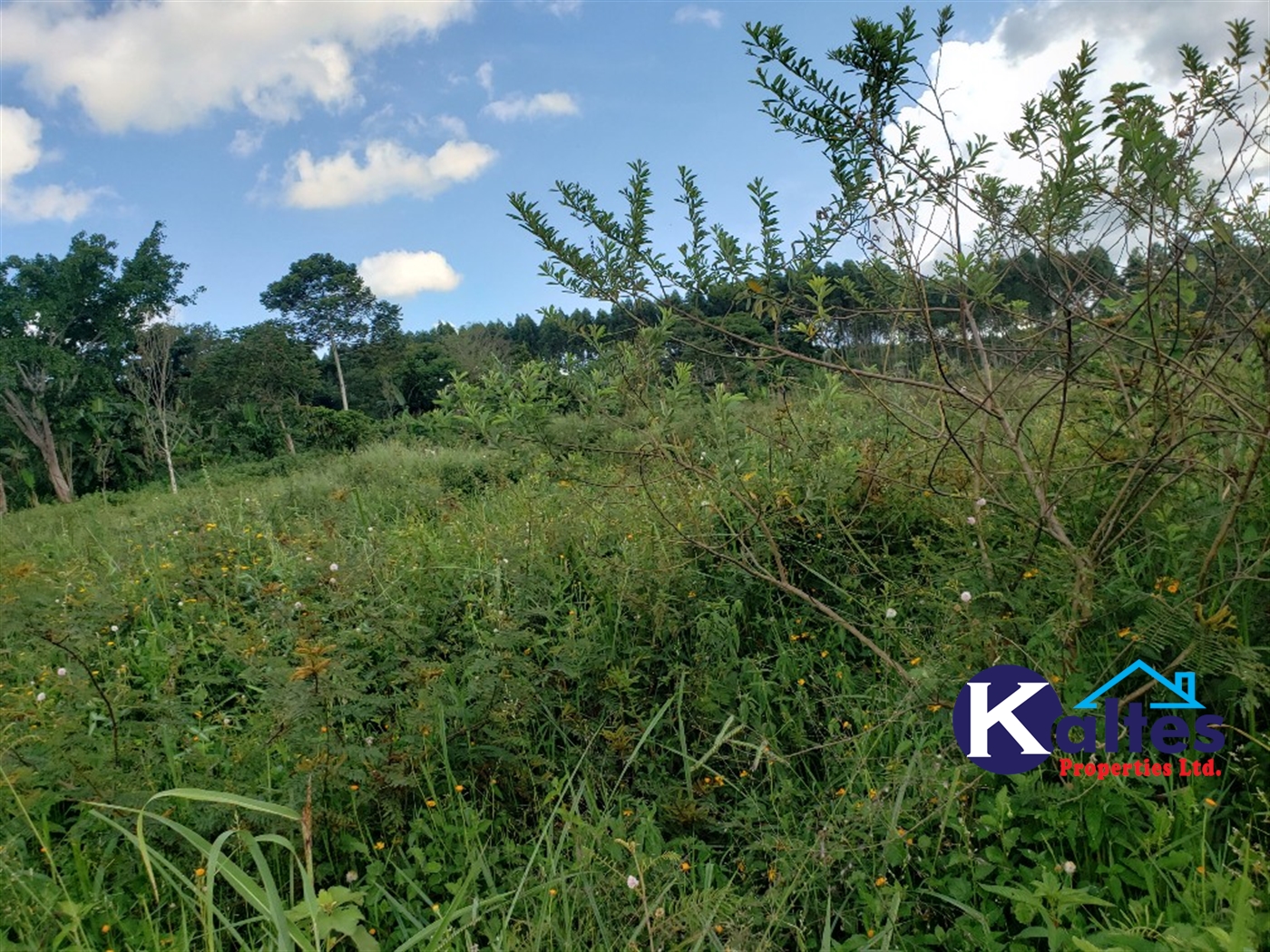 Agricultural Land for sale in Kinoni Buyikwe