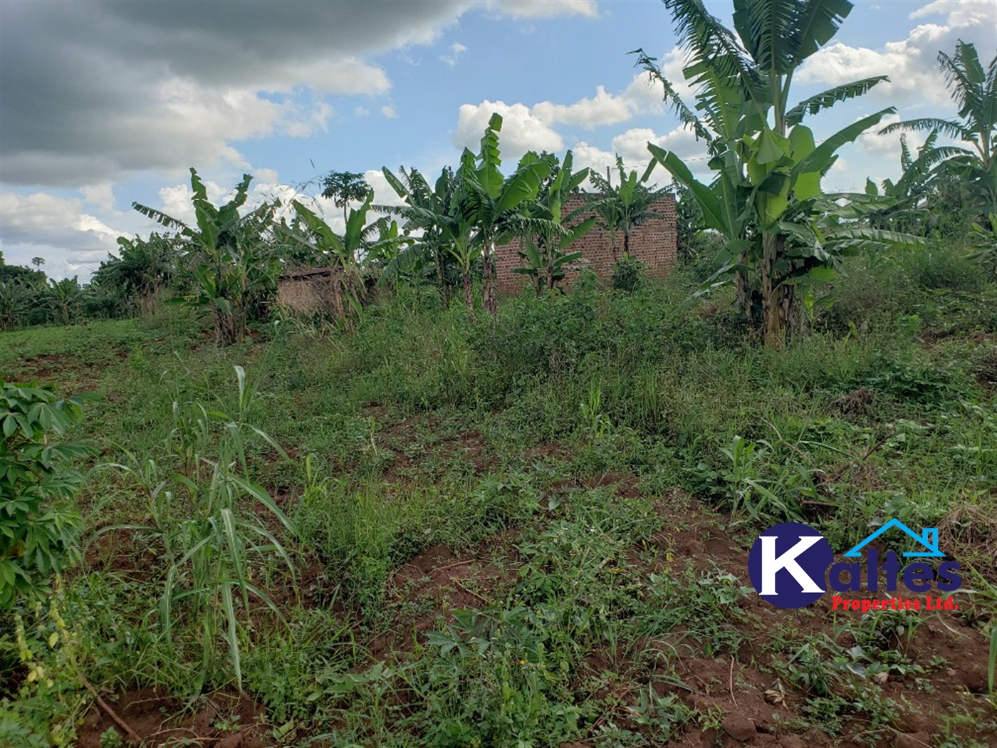 Agricultural Land for sale in Kiringo Buyikwe