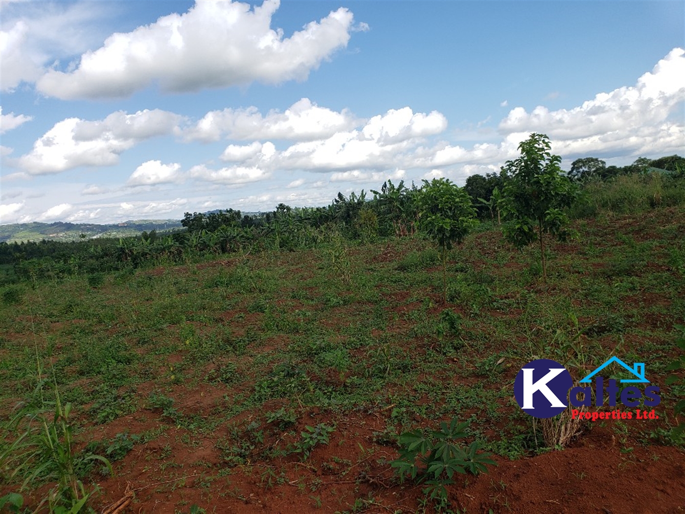 Agricultural Land for sale in Kiringo Buyikwe