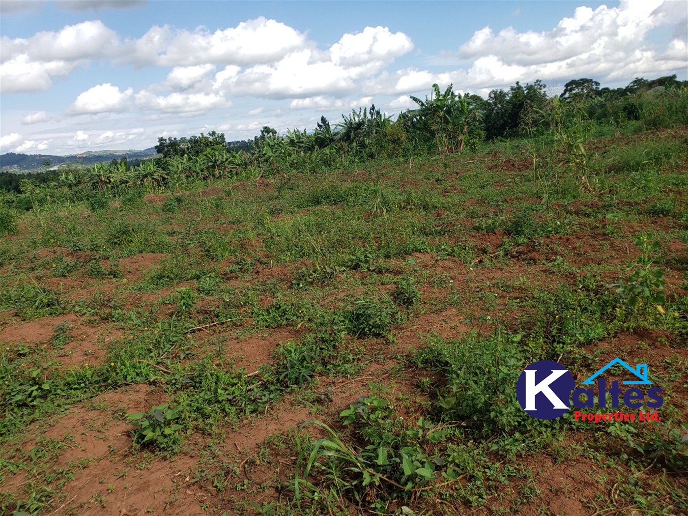 Agricultural Land for sale in Kiringo Buyikwe