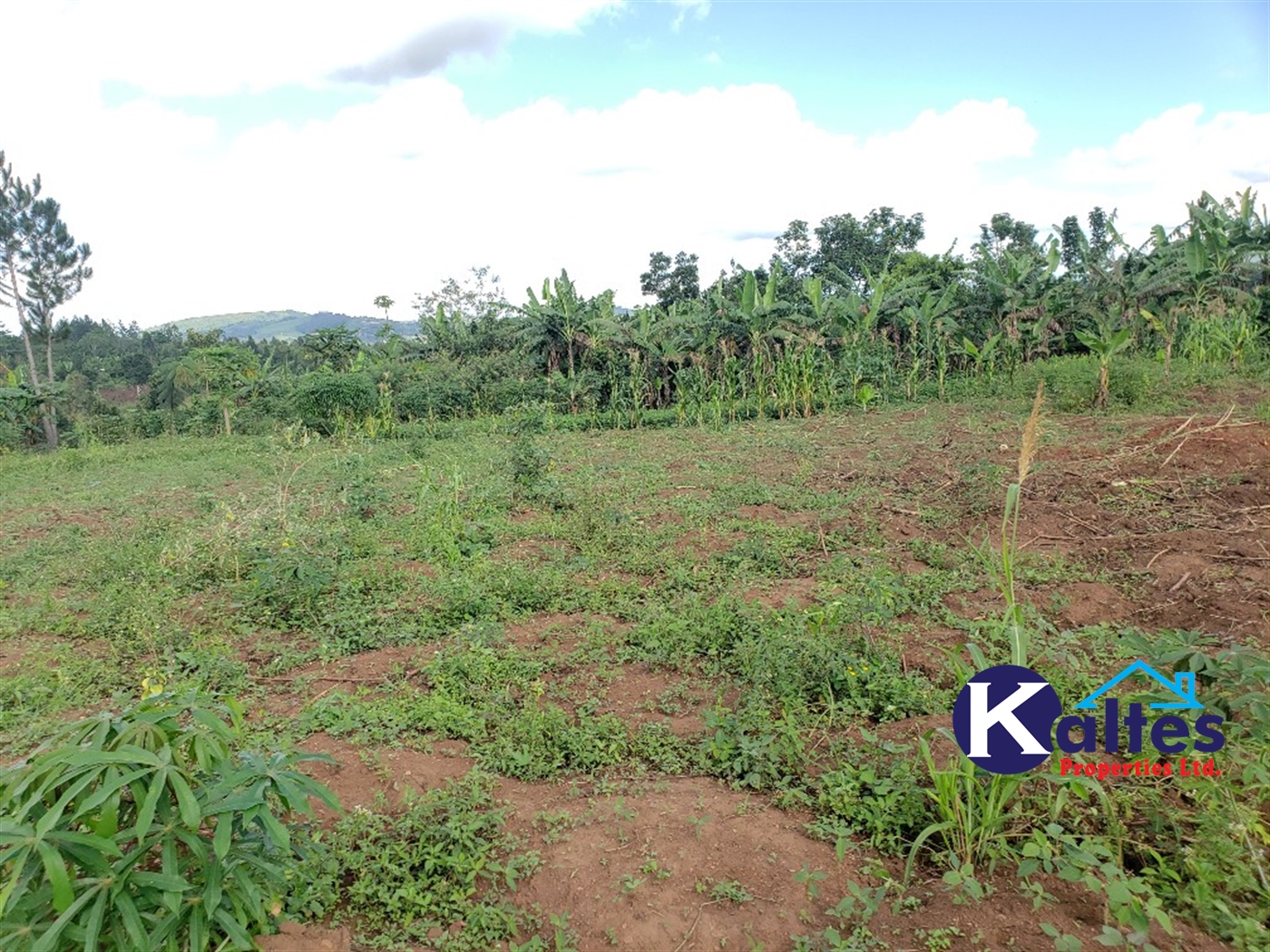 Agricultural Land for sale in Kiyunga Buyikwe