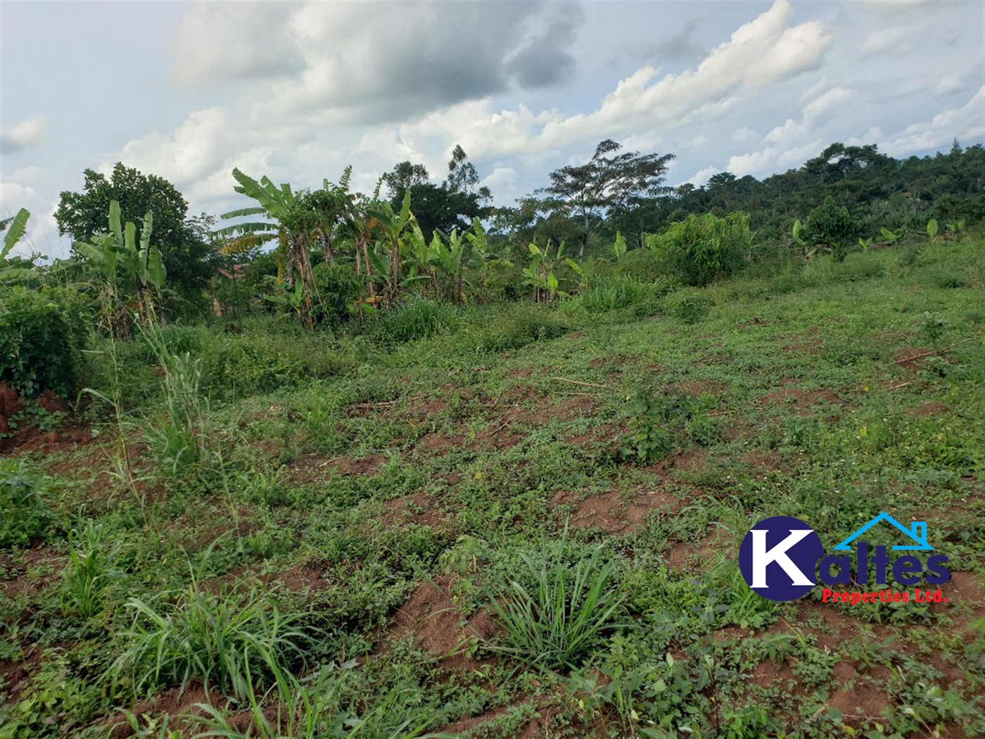 Agricultural Land for sale in Kiyunga Buyikwe