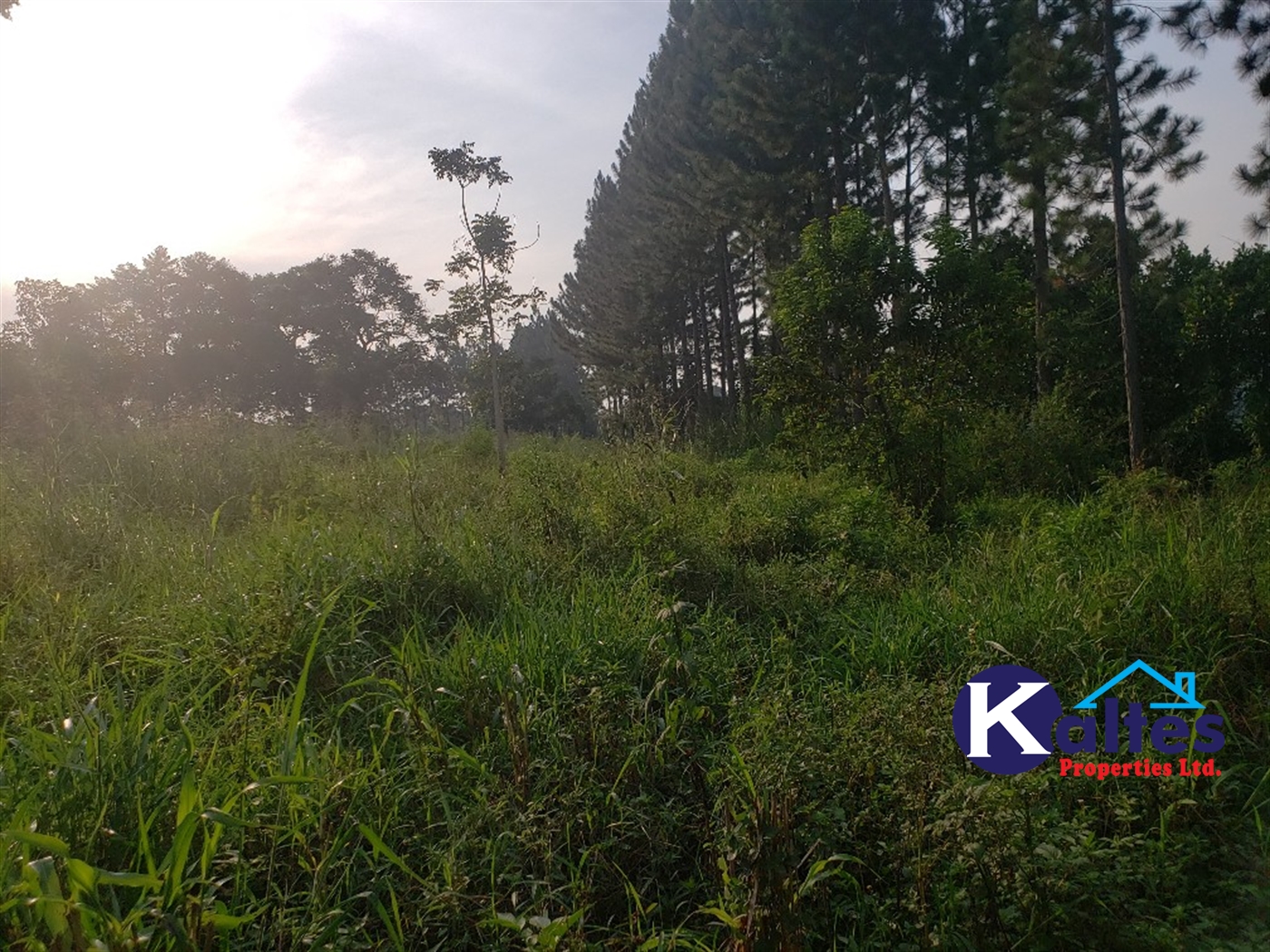Agricultural Land for sale in Kiyunga Buyikwe