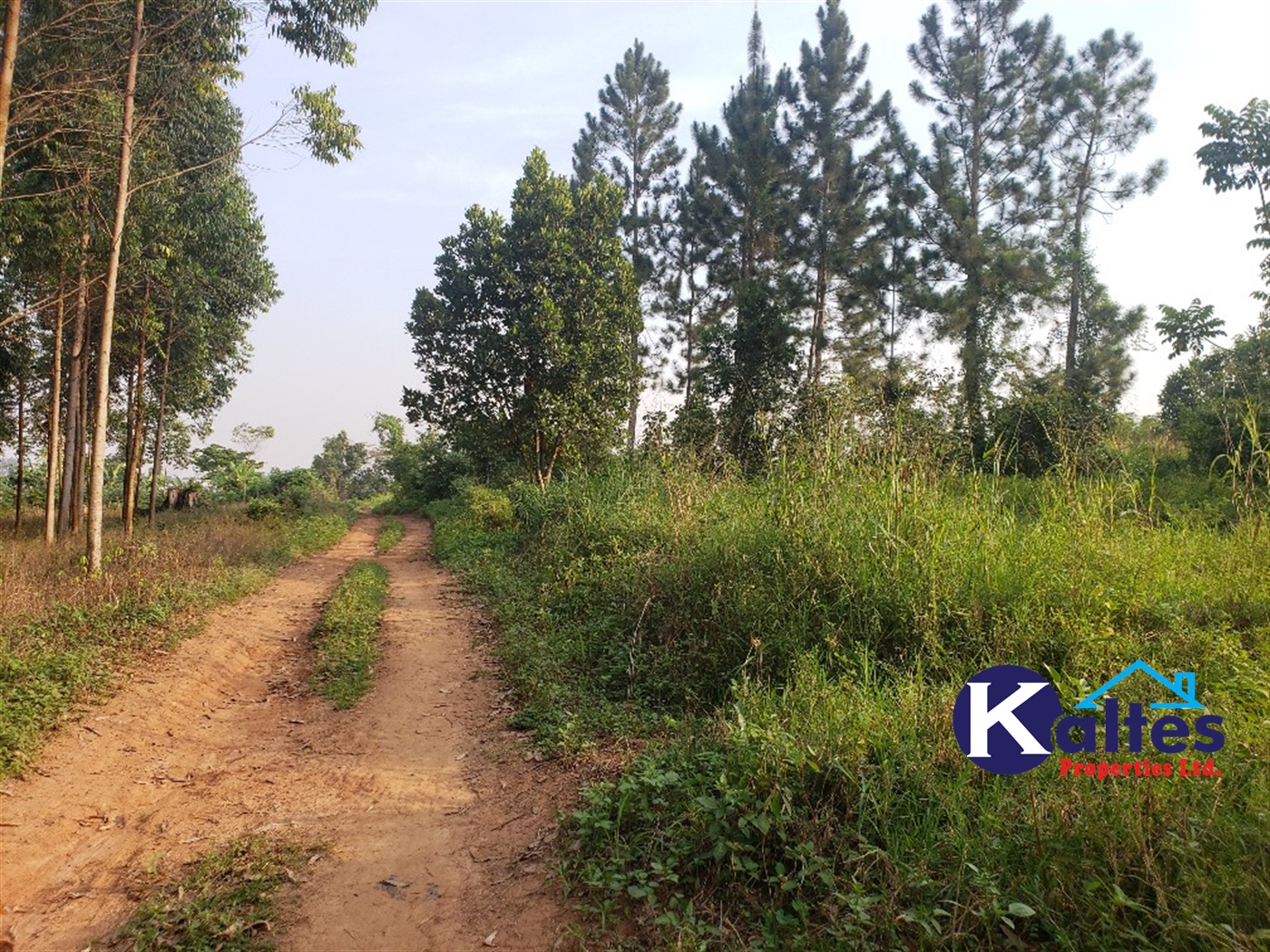 Agricultural Land for sale in Kiyunga Buyikwe