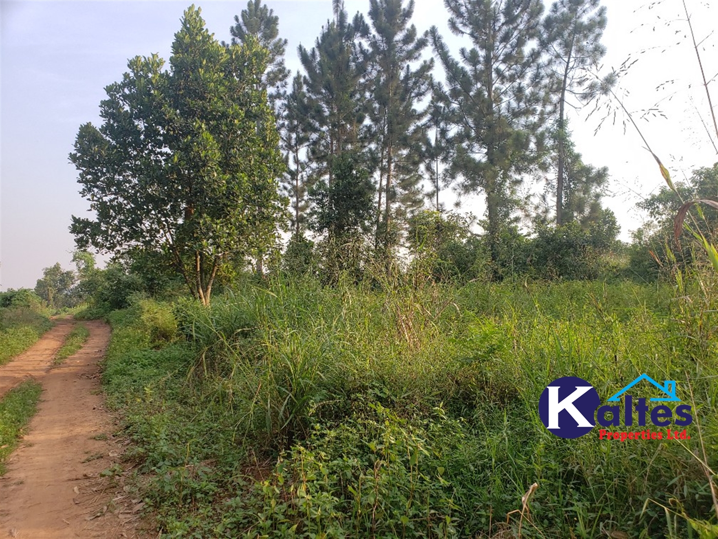 Agricultural Land for sale in Kiyunga Buyikwe