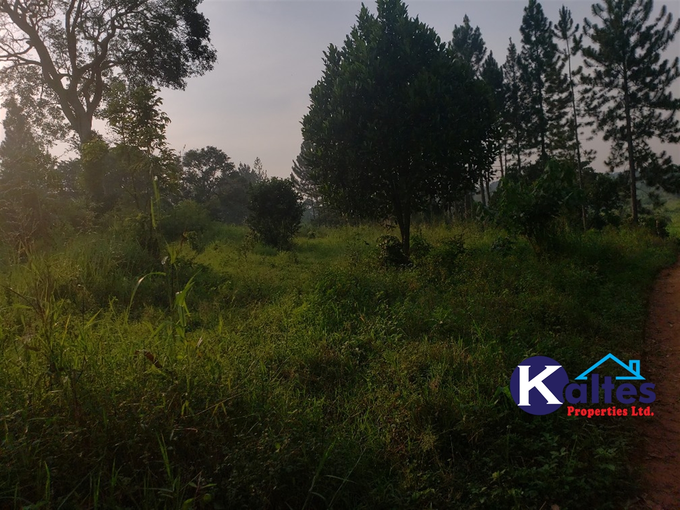 Agricultural Land for sale in Kiyunga Buyikwe