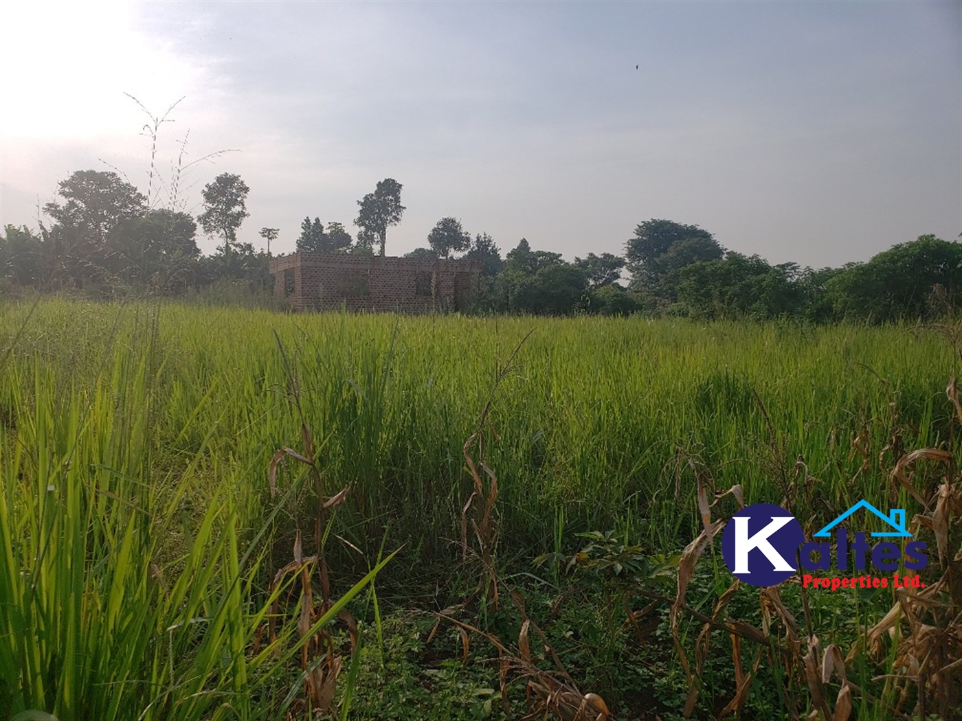 Residential Land for sale in Kalebera Mukono