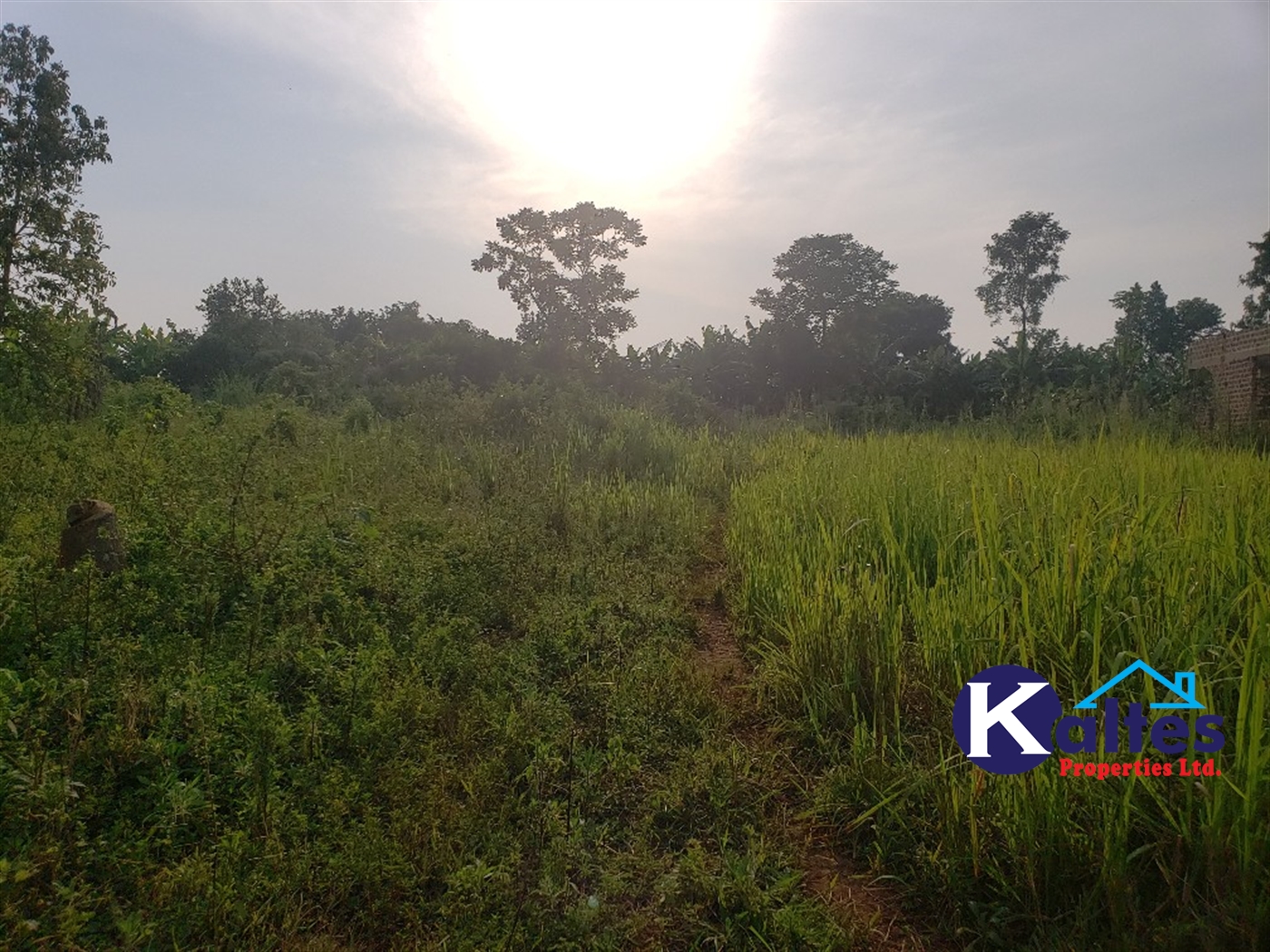 Residential Land for sale in Kalebera Mukono