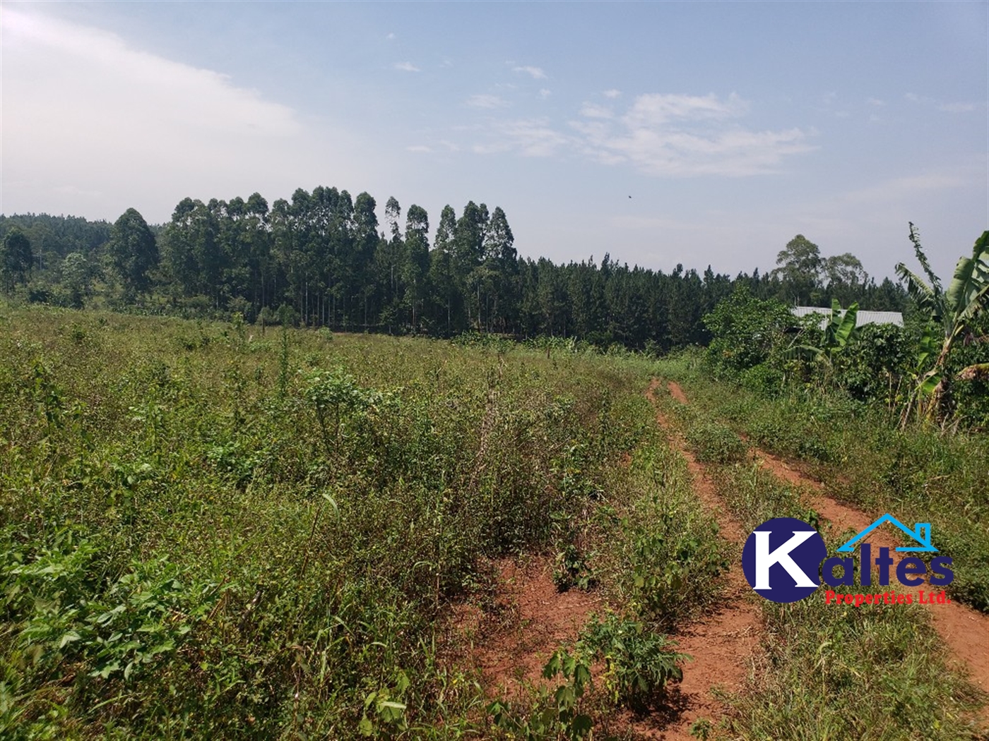 Residential Land for sale in Kalebera Mukono