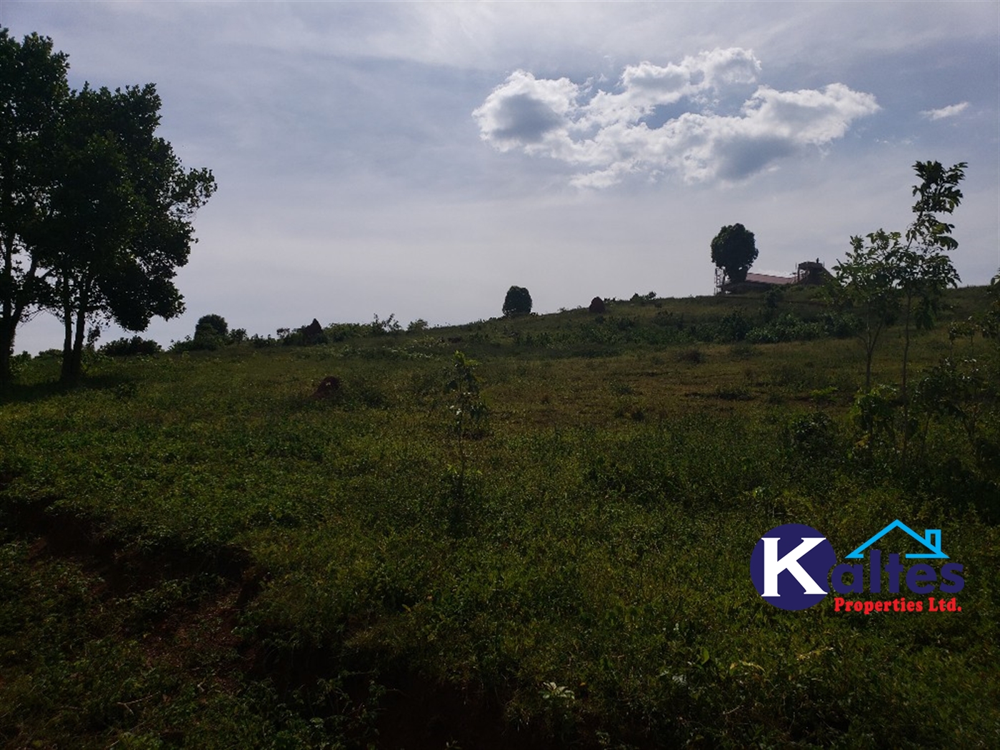 Residential Land for sale in Kalebera Mukono