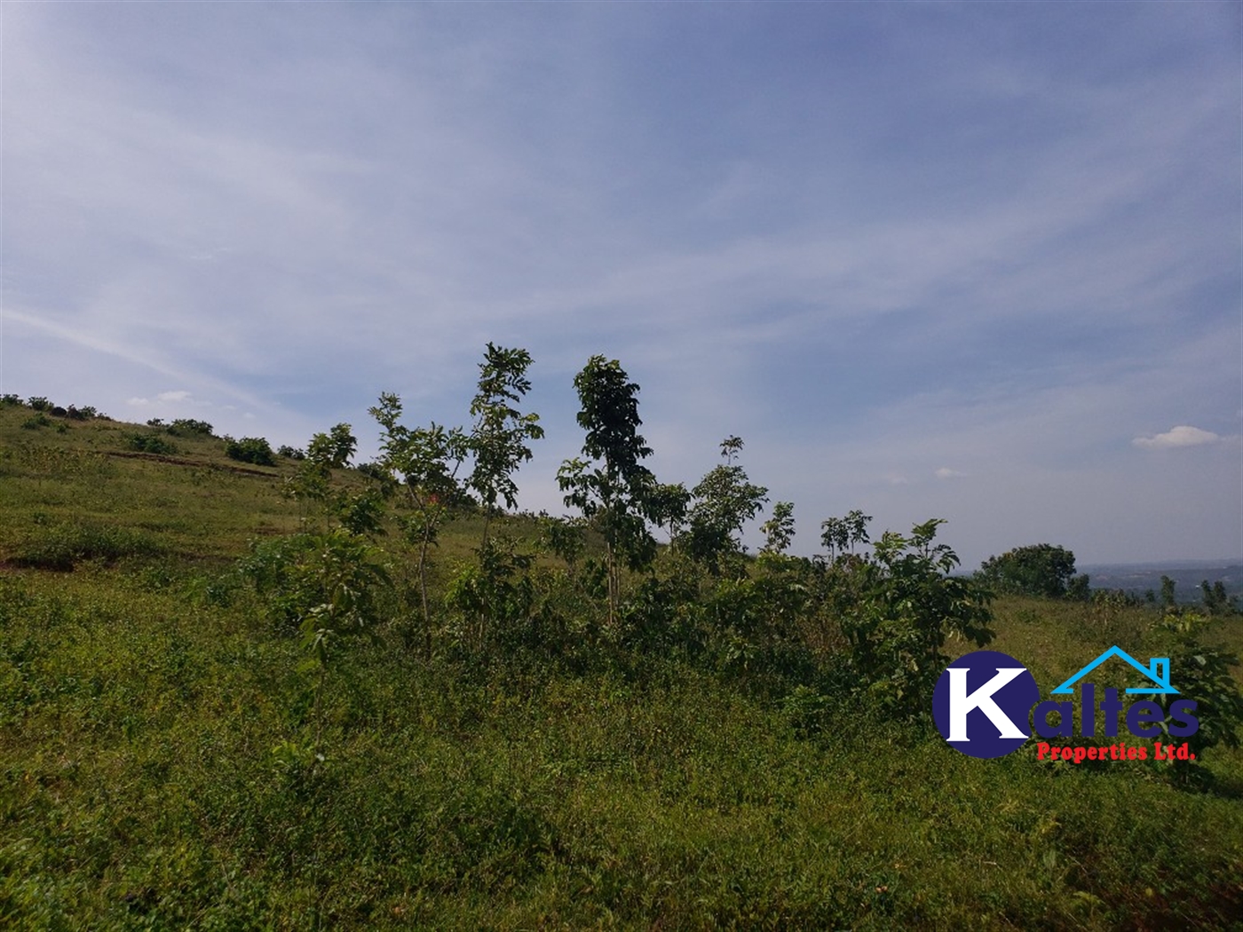 Residential Land for sale in Kalebera Mukono