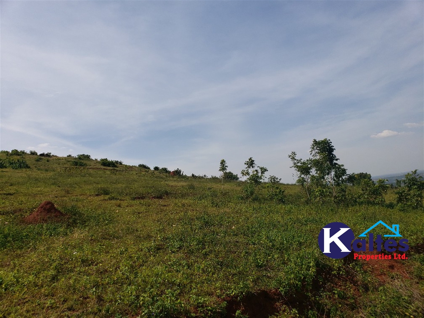 Residential Land for sale in Kalebera Mukono