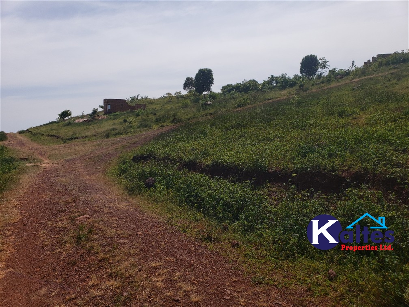 Residential Land for sale in Kalebera Mukono