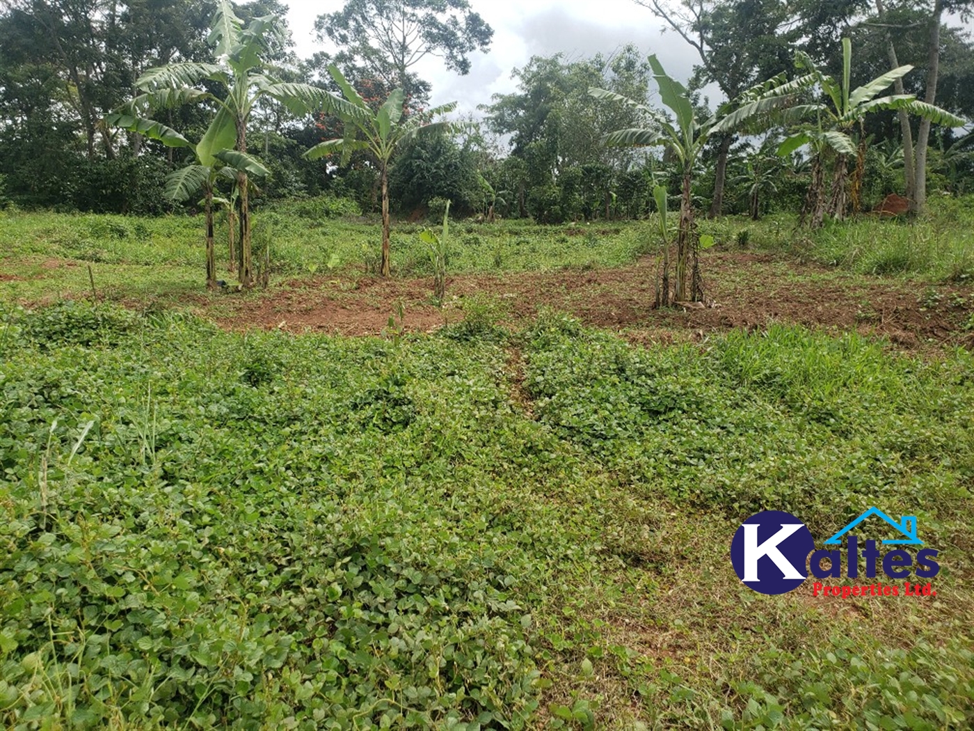 Agricultural Land for sale in Kabugoga Buyikwe