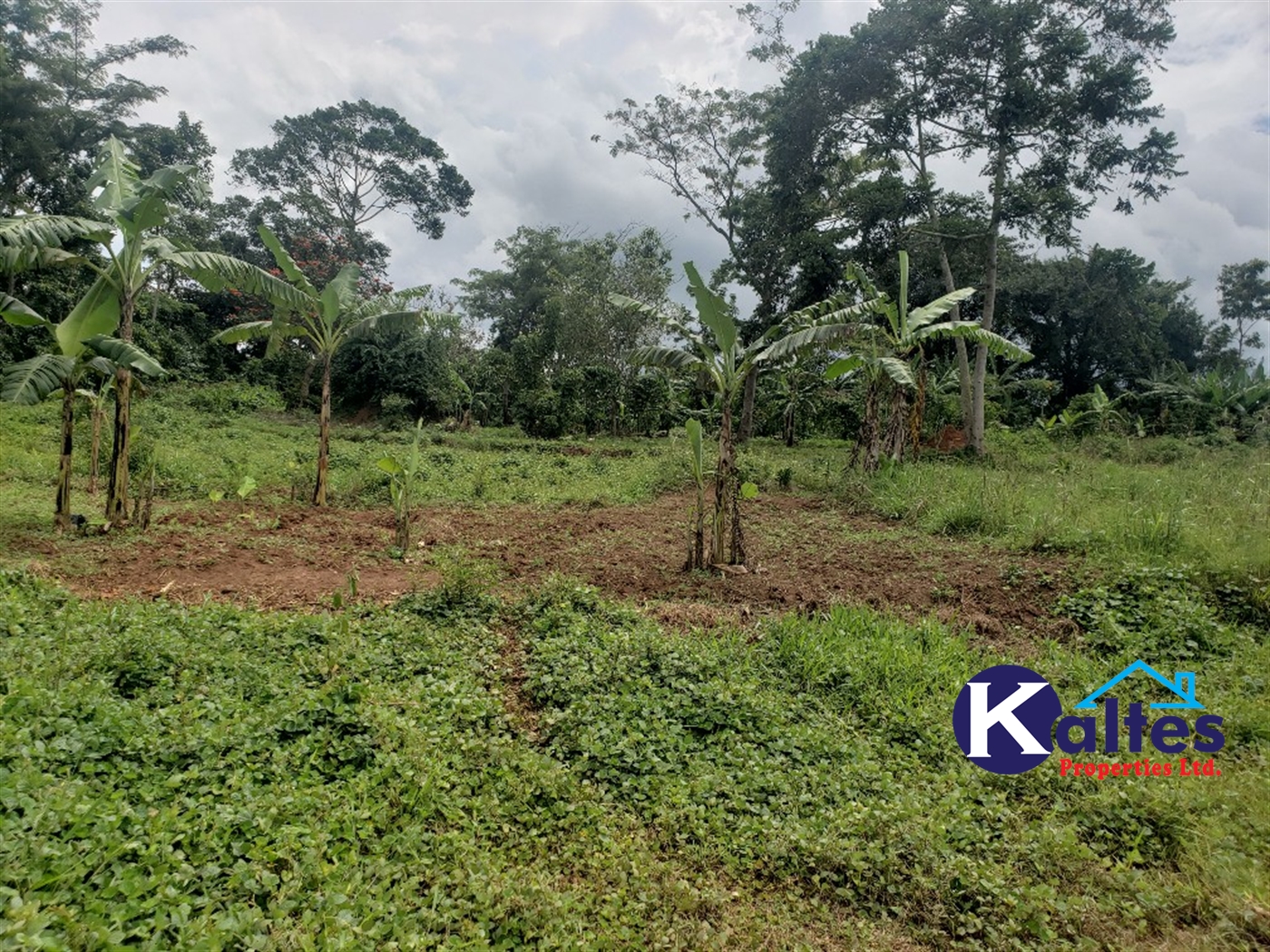 Agricultural Land for sale in Kabugoga Buyikwe